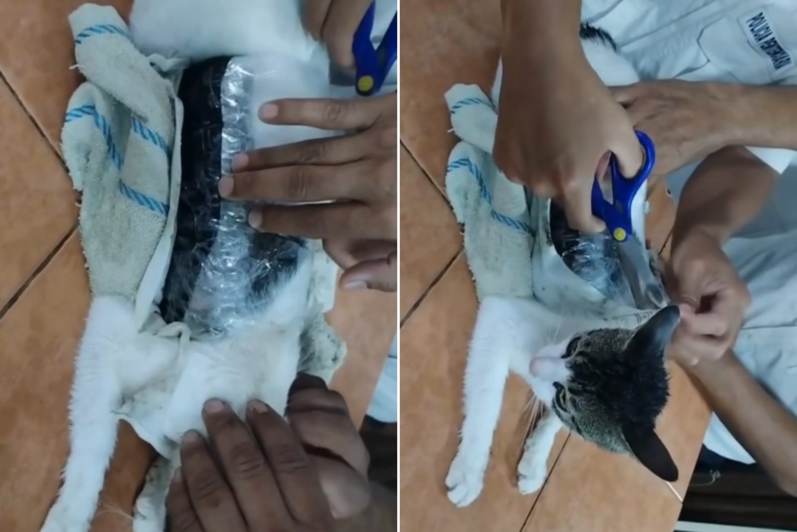 Narcotráfico