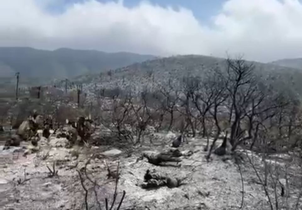 Incendios
