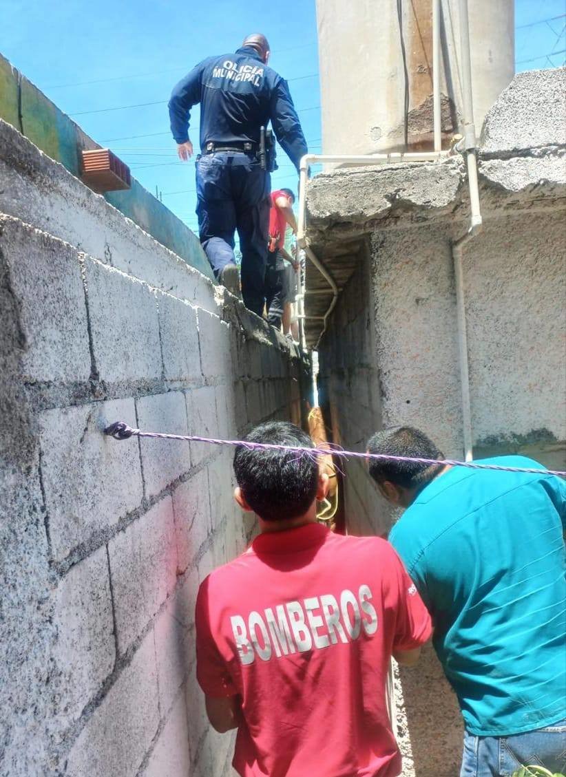 Seguridad