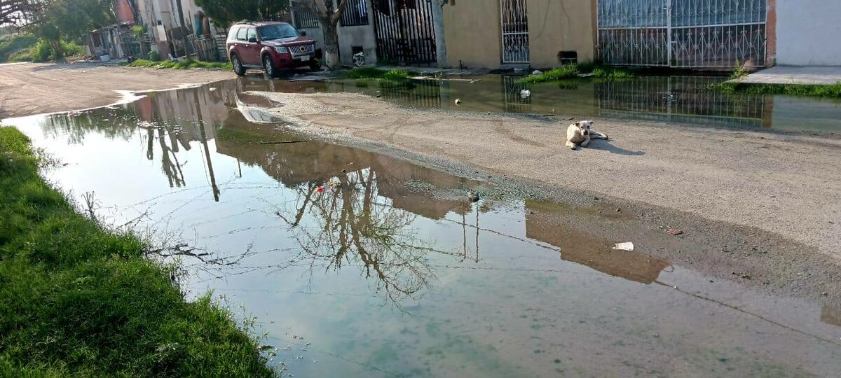 Agua