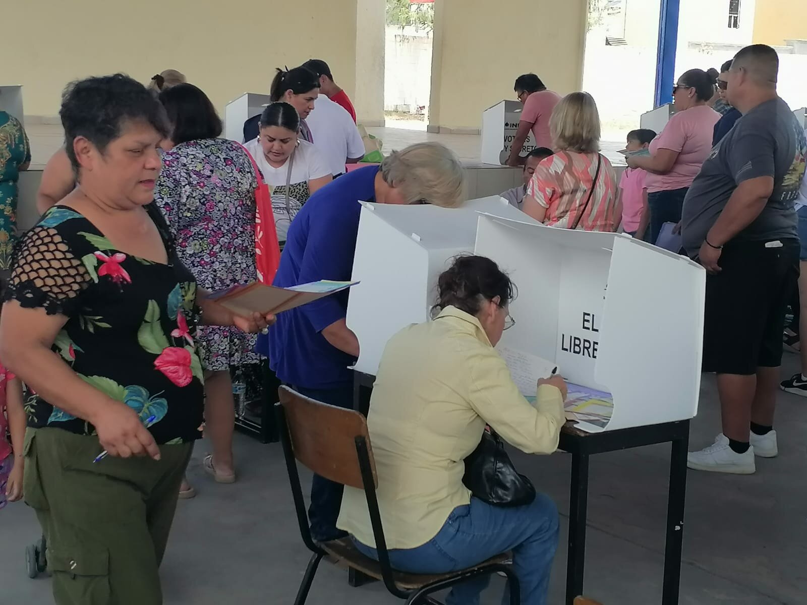 uso de acordeones en elección