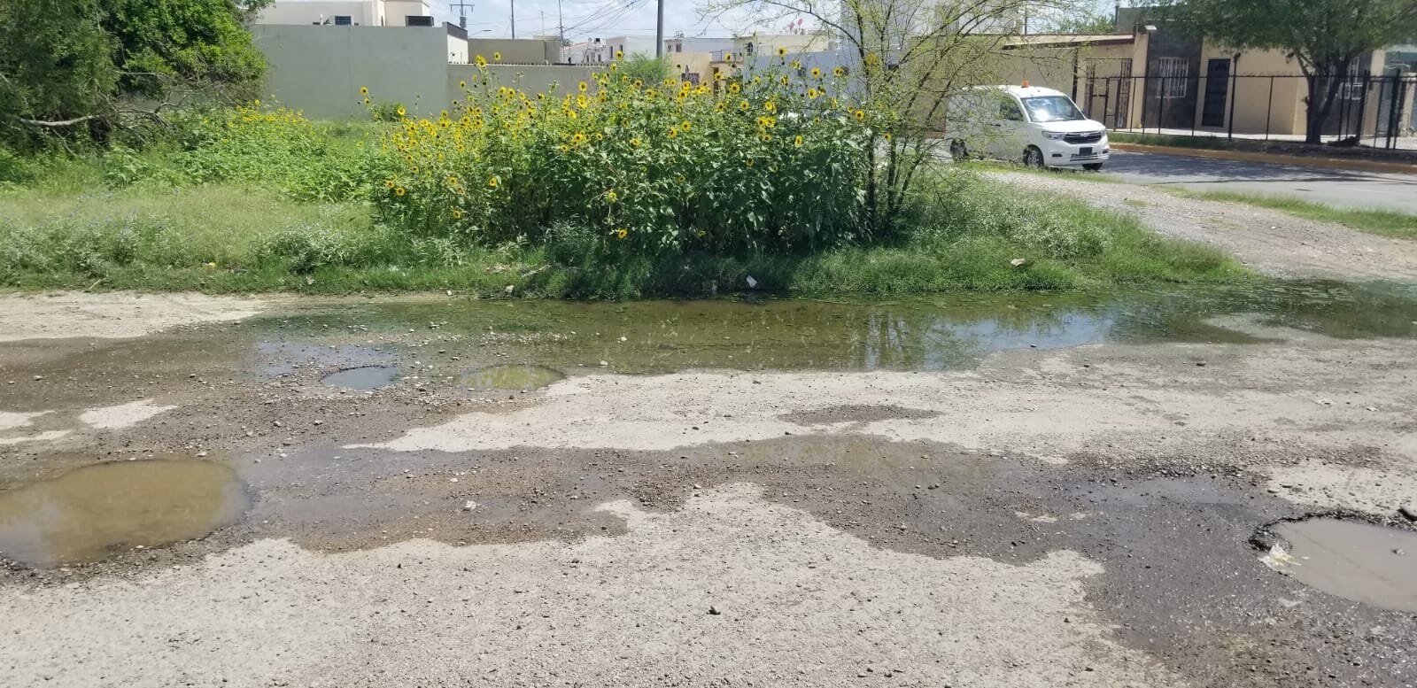 Aguas negras