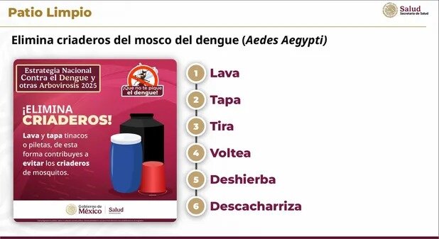 Dengue 