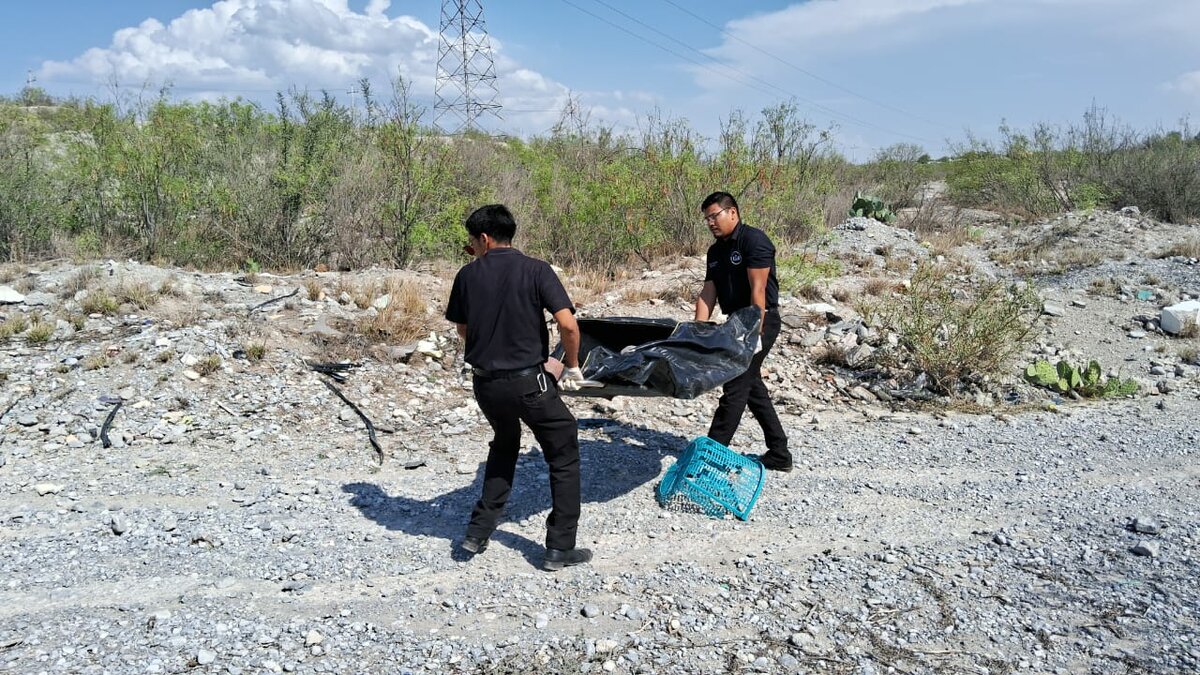 Seguridad