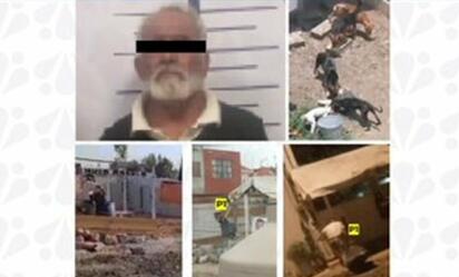 Dos hombres enfrentan procesos por crueldad animal en Puebla y Zacapoaxtla