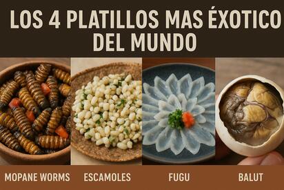 Los 4 platillos más exóticos del mundo que desafían tus sentidos