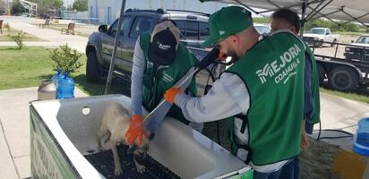 Aplican más de 400 vacunas antirrábicas en brigada de salud animal