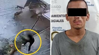 Detienen a hombre acusado de matar a un perro con una tabla en Tlaquepaque