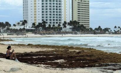 Alertan por exceso de sargazo en zonas turísticas de Quintana Roo