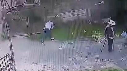 VIDEO: Denuncian brutal agresión contra perritos en lote baldío de Juárez