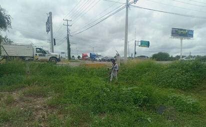 Realizan poda de árboles en bulevares principales de Piedras Negras