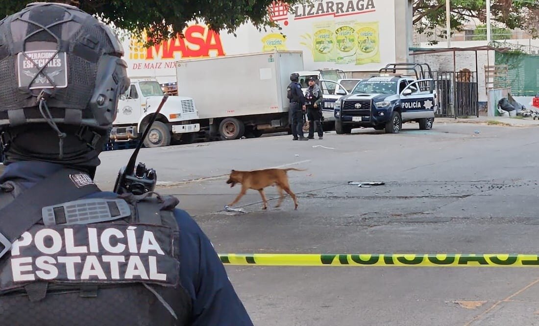seguridad