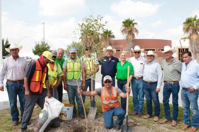 Inicia en Múzquiz la Mega Campaña Estatal de Reforestación con participación ciudadana y árboles frutales.