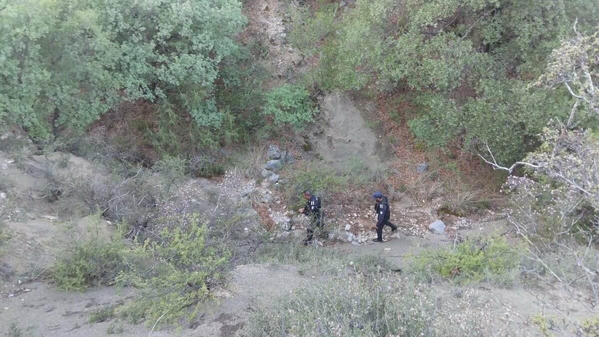 Seguridad