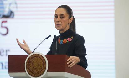 Sheinbaum rompe el silencio tras brutal caso de maltrato animal