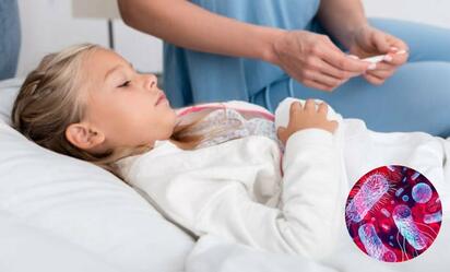 Brote de E. coli en Francia deja una niña muerta y alarma