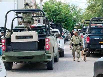 Cateo en Townhouse vinculado a red delictiva; aseguran droga y arma