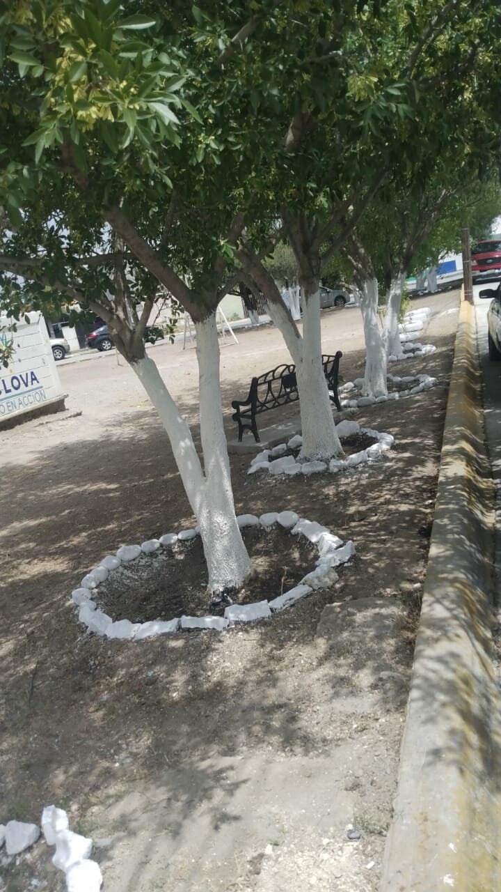 Seguridad