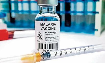 India producirá vacuna contra malaria a menos de cinco dólares por dosis