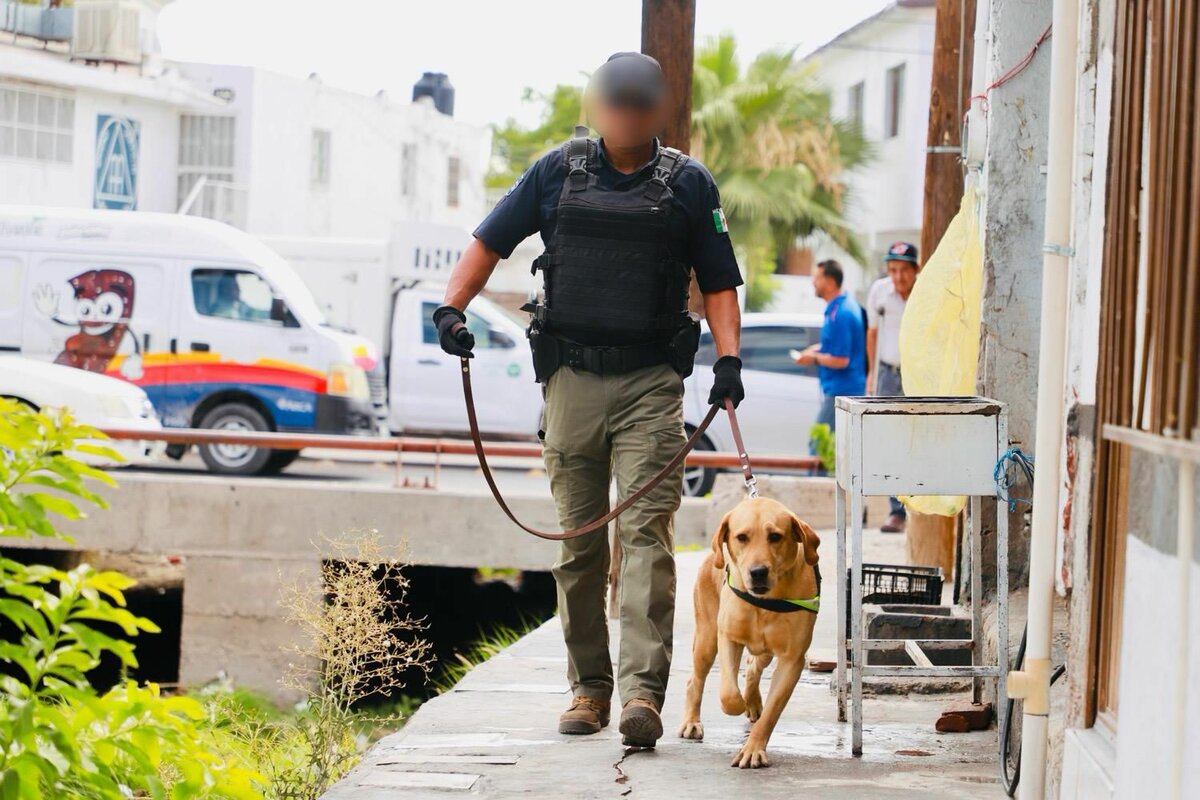 Seguridad