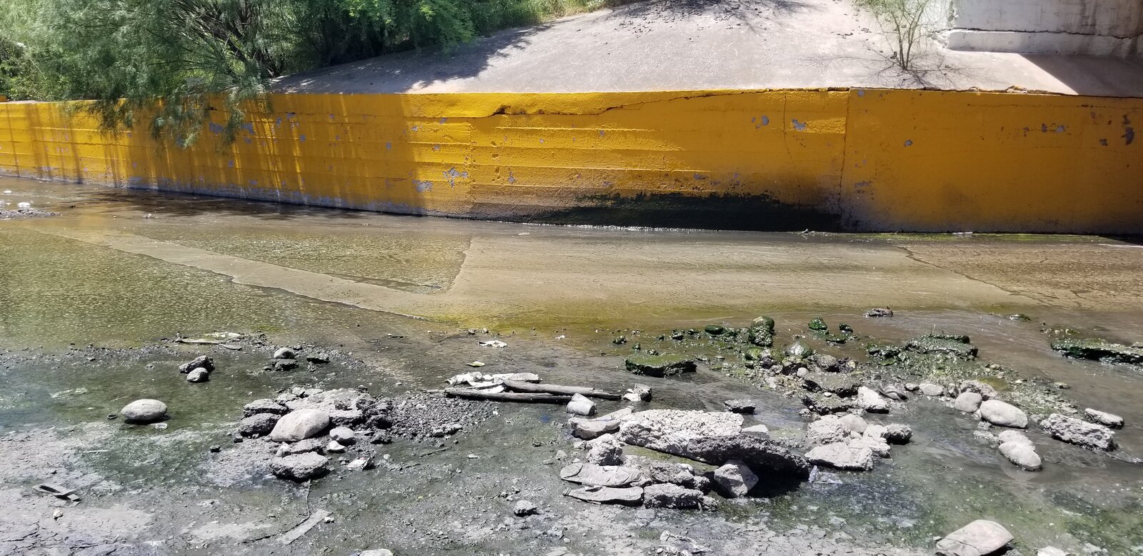 Agua