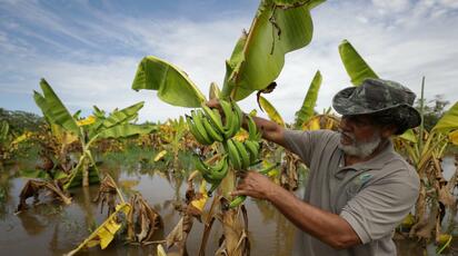 Retos y oportunidades en el futuro de los agronegocios