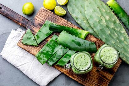 Descubre los 7 beneficios del nopal para tu salud