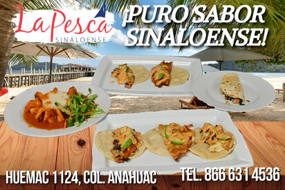 Sabor a costa en tierra de acero: disfruta la Pesca Sinaloense