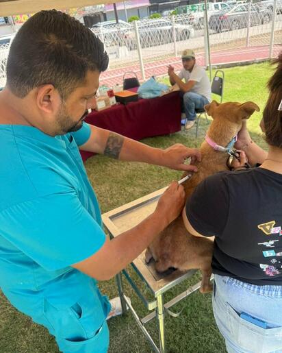 Realizan jornada intensiva de atención a mascotas en Parque Canino de Piedras Negras