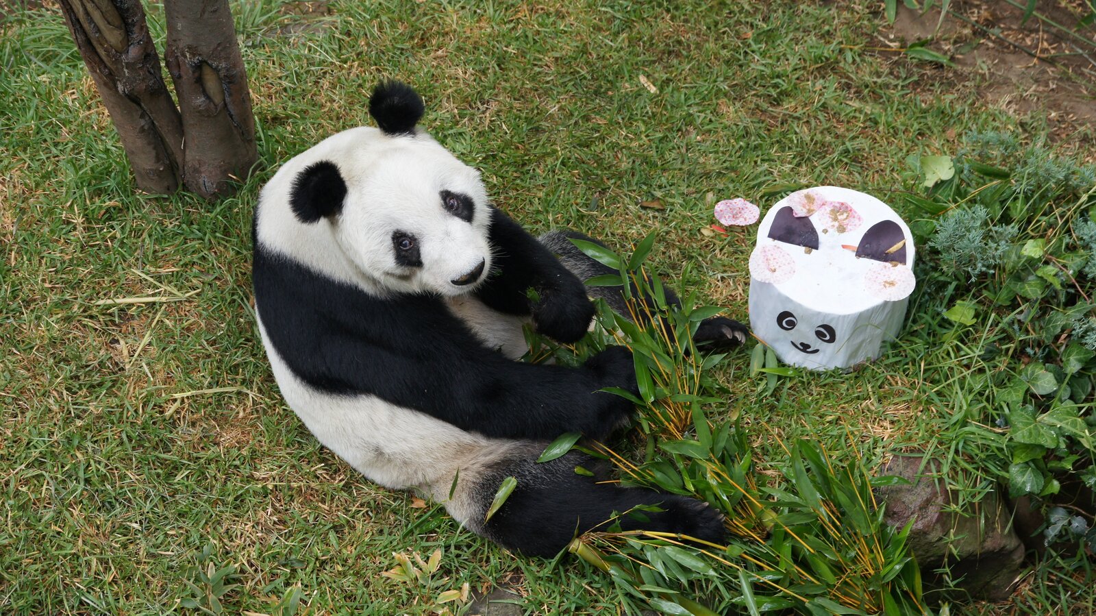 Zoológico