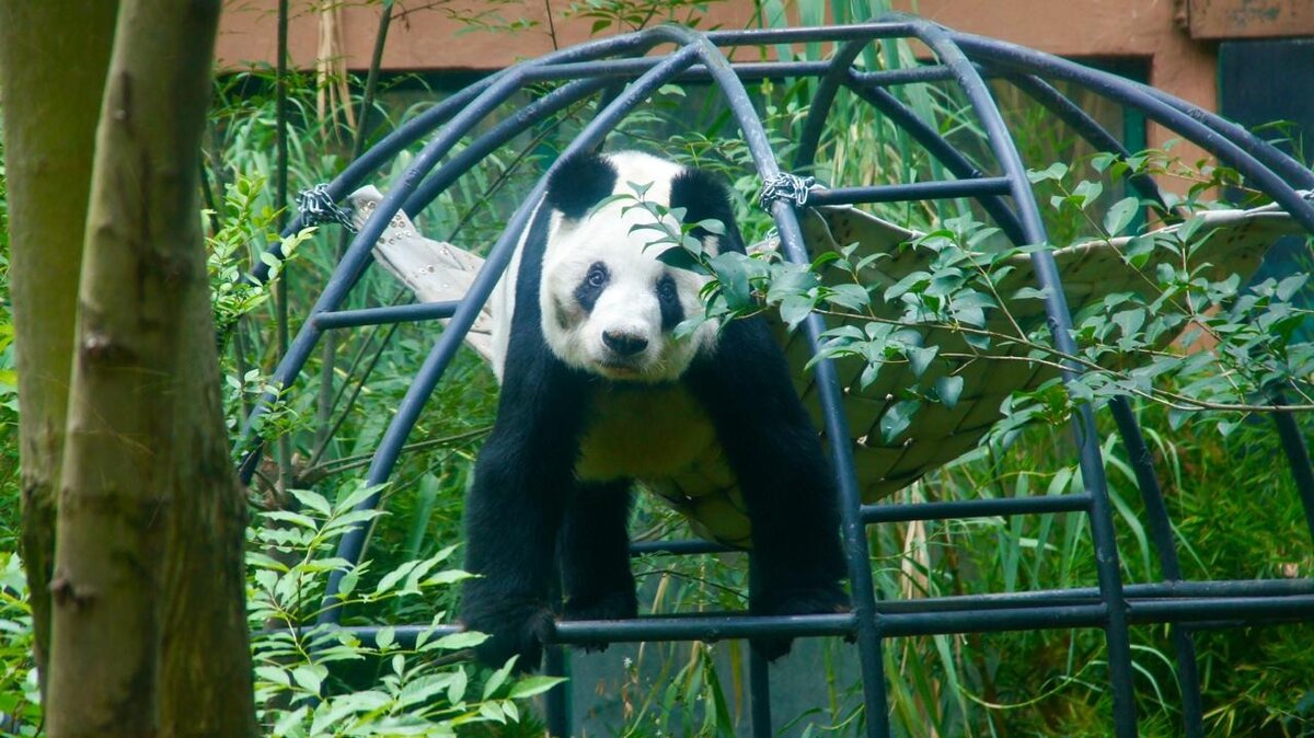 Zoológico