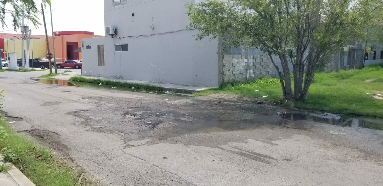 Reportan fuga de drenaje a media cuadra del DIF Municipal: El derrame de aguas negras afecta a la circulación y deterioro de la calle prolongación libertad
