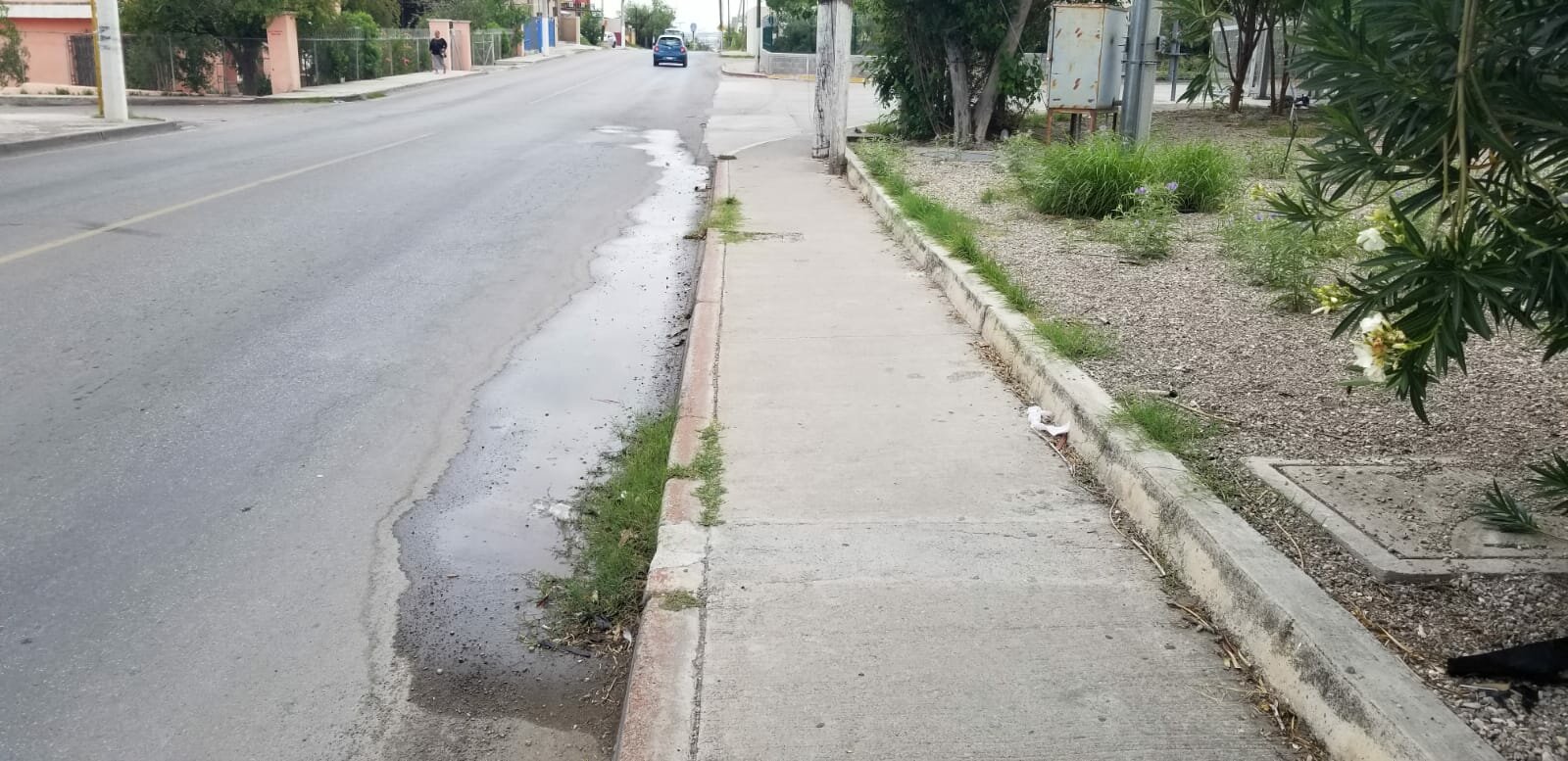 Persistente fuga de aguas residuales contamina transitada avenida en Piedras Negras: Ciudadanos denuncian la fuga que se genera de un concurrido centro comercial en el sector indicado. 