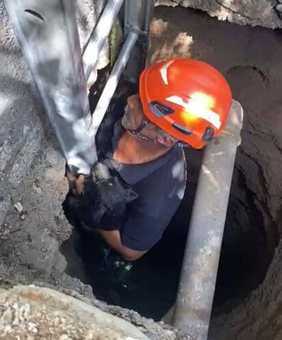  Bomberos rescatan a dos mascotas atrapadas en una noria en Sabinas