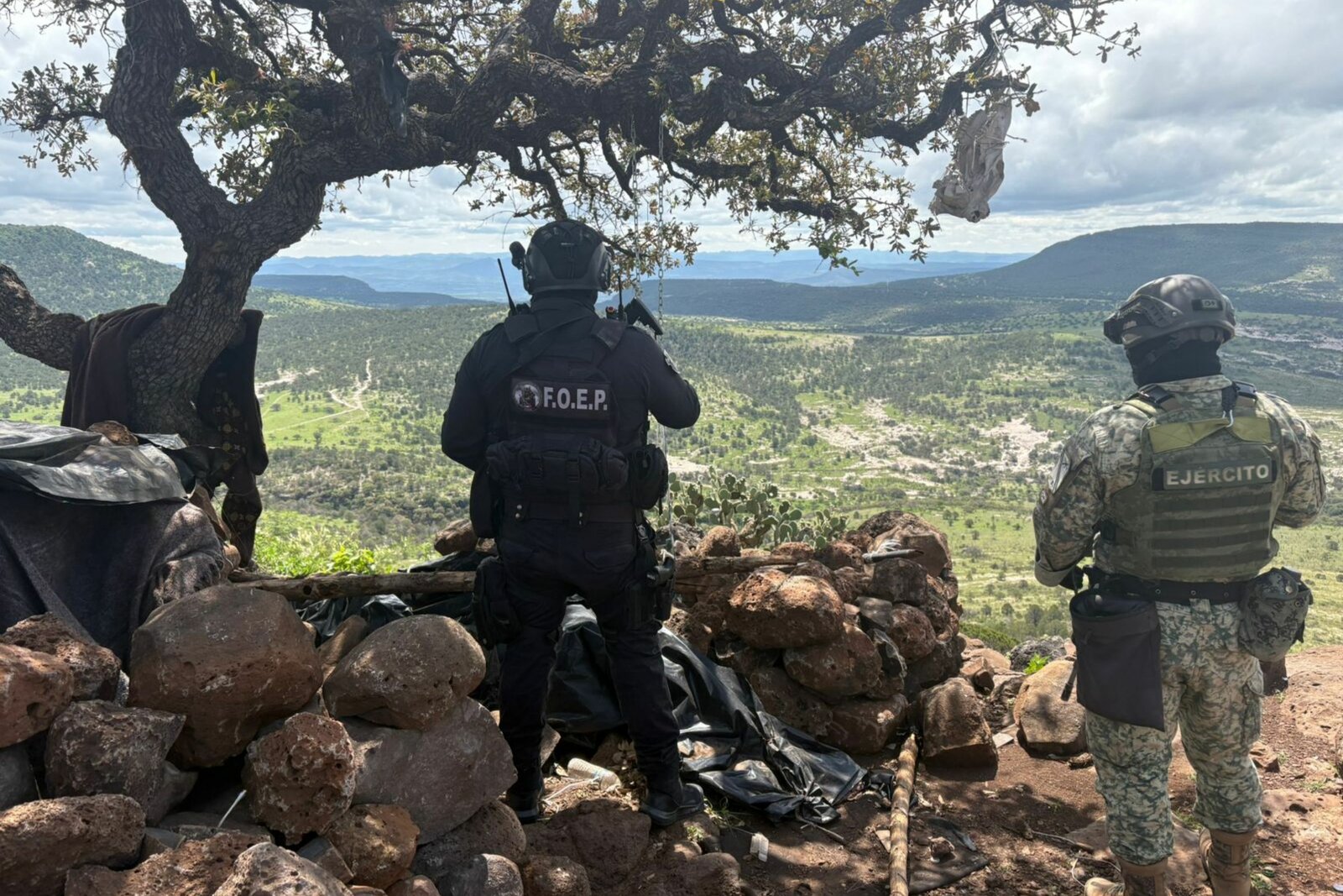 seguridad