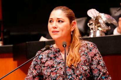Verónica Camino reitera aspiración a liderar el Senado
