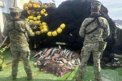 Marina y Agricultura decomisan pesca ilegal en 18 estados
