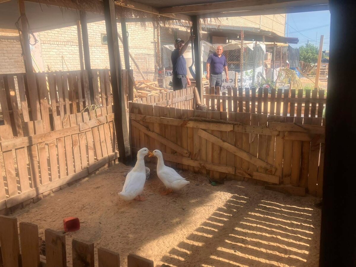 Granja
