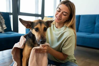 'Perro hijos' salen caros: consultas, buena comida y baños de lujo