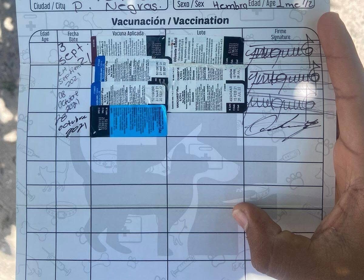 6897aef27cdfb.jpg