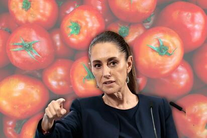 Gobierno federal apoya a productores de jitomate tras aranceles de EE.UU