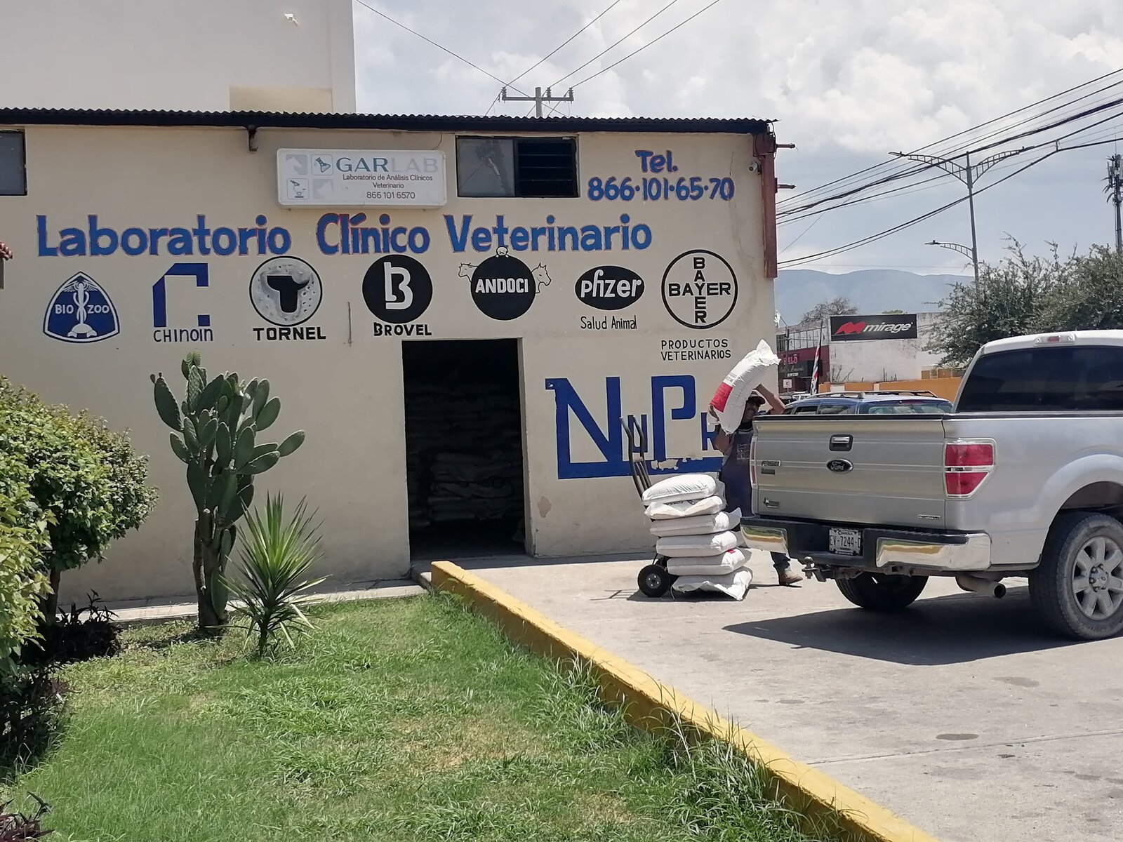 ganadería