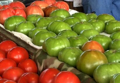 Todos los nutrientes que aporta el tomate