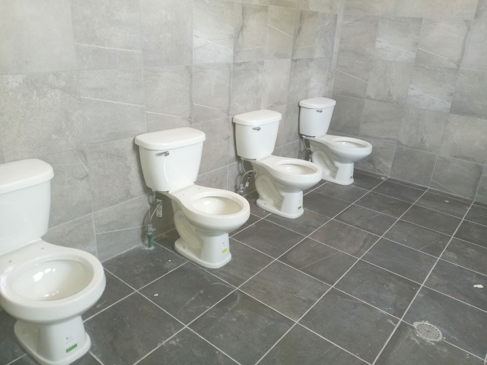 689e7672b5e44.jpg