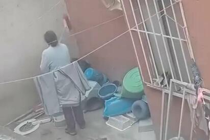 Mujer es captada golpeando a perro en Pachuca; piden justicia