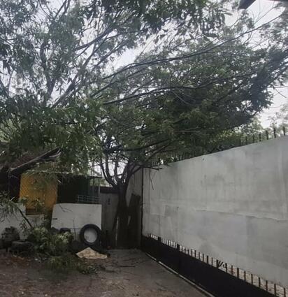 Lluvias inesperadas dejan árboles caídos y apagones en Piedras Negras