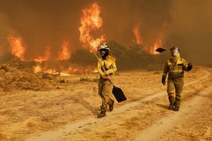 Incendios forestales y calor extremo dejan más de mil muertos en España
