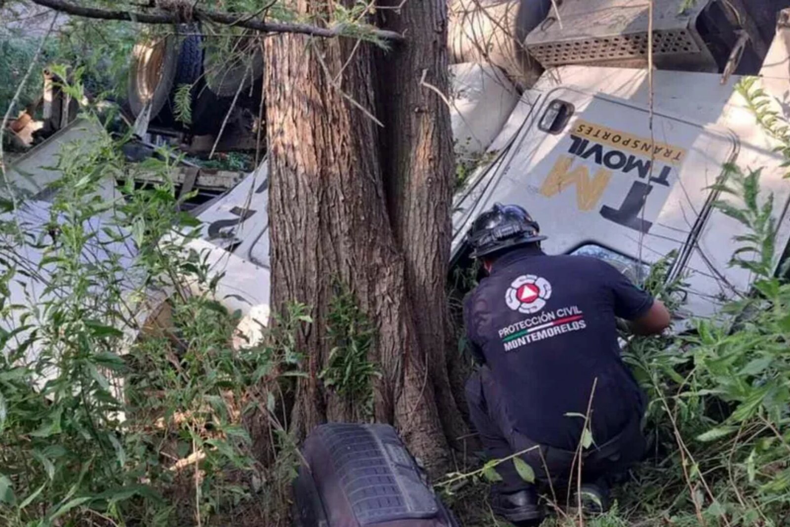 seguridad