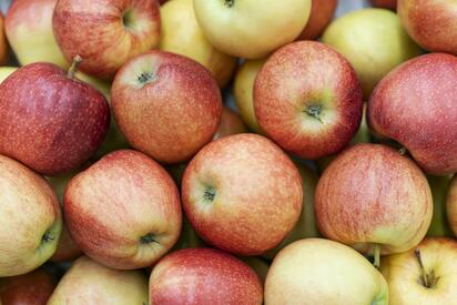 Arteaga proyecta cosecha de 6 mil cajones de manzana