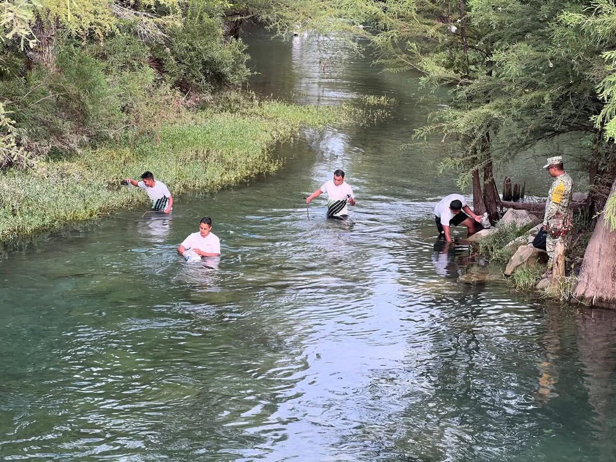 ecologia 